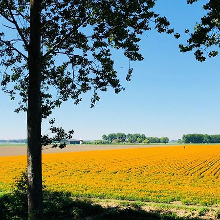 Slapen Bij De Zeeuwse Lala Panzió IJzendijke Kültér fotó