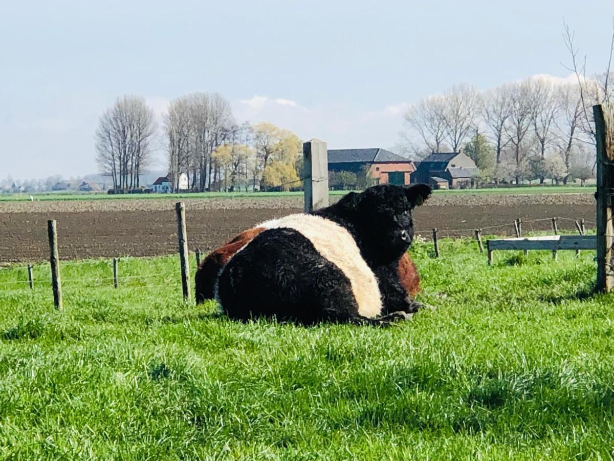 Slapen Bij De Zeeuwse Lala Panzió IJzendijke Kültér fotó