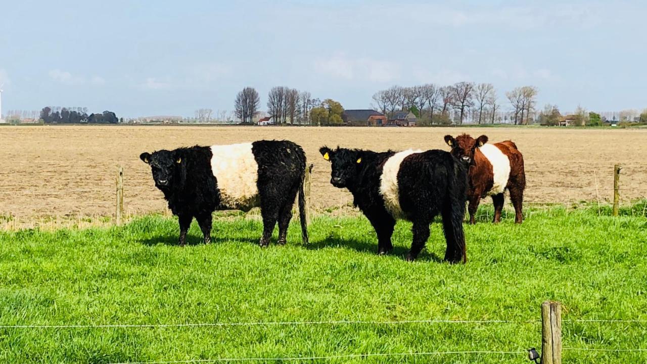 Slapen Bij De Zeeuwse Lala Panzió IJzendijke Kültér fotó
