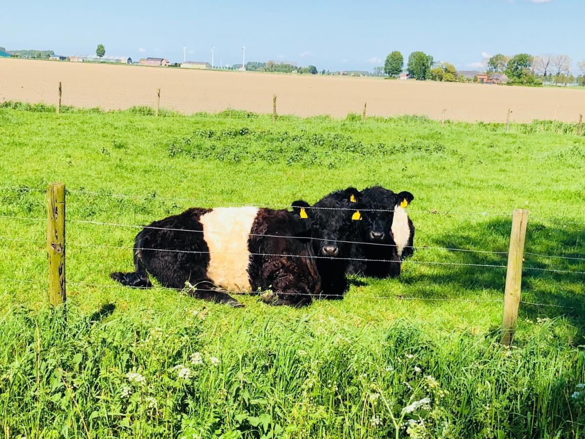Slapen Bij De Zeeuwse Lala Panzió IJzendijke Kültér fotó
