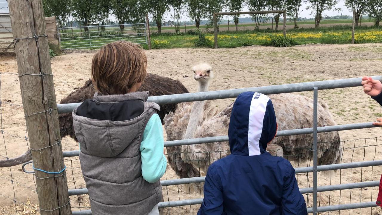 Slapen Bij De Zeeuwse Lala Panzió IJzendijke Kültér fotó