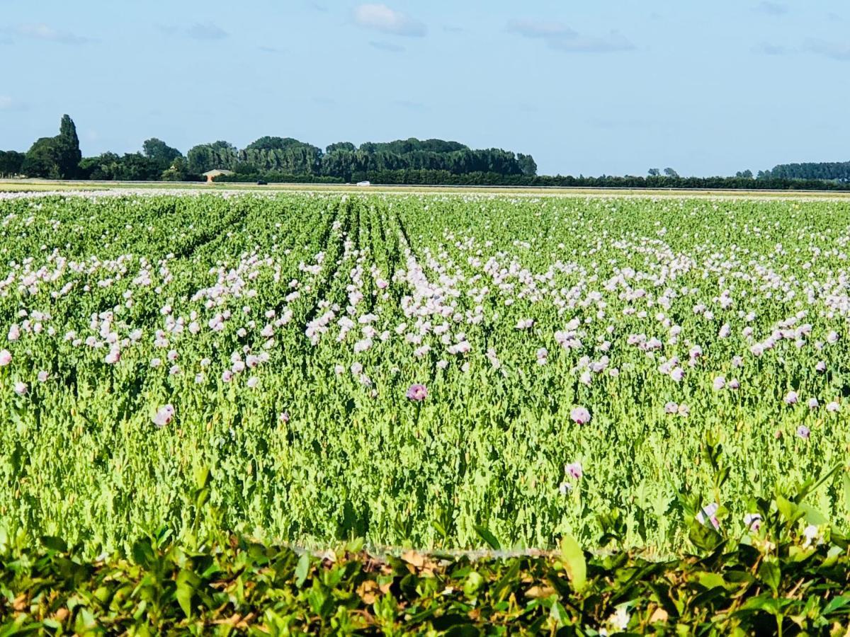 Slapen Bij De Zeeuwse Lala Panzió IJzendijke Kültér fotó